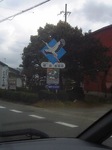 DVC60028.JPG