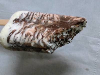 th_P_20200426_065200.jpg